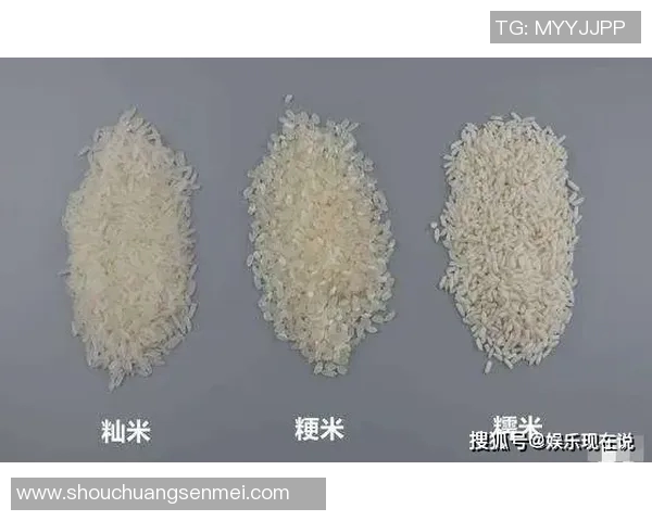 大米的多样化应用与营养价值解析：从主食到健康饮品的全方位探索